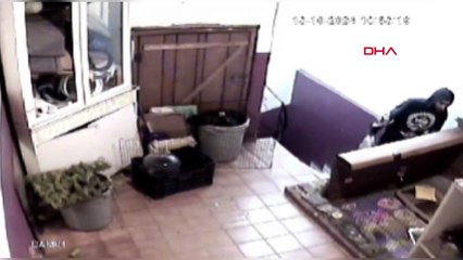 Kağıthane'de binaya giren hırsız tavşanı çaldı!