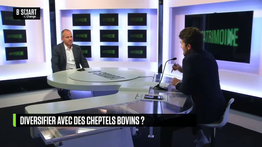 Diversifier avec des cheptels bovins ? 