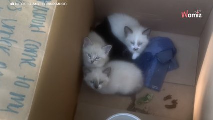 Une famille trouve une boite en carton sur un trottoir : le mot écrit dessus est bouleversant