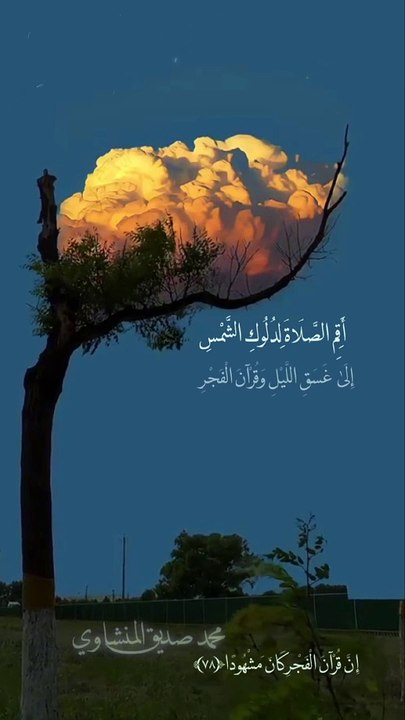 تلاوة خاشِعة _ محمد صديق المنشاوي