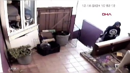 İstanbul'da tavşan hırsızlığı kamerada