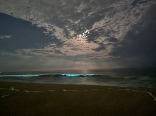 VIDEO: चेन्नई के समुद्र में दिखा अजीबो-गरीब नीली रोशनी वाली लहरें! अचानक जगमगाने लगा समुद्र