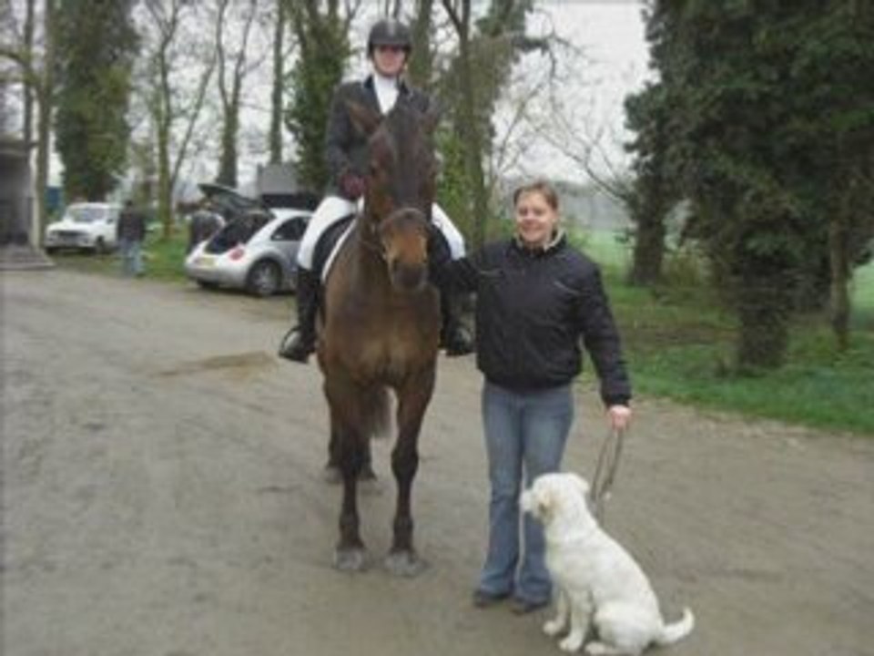 Concours dressage 20.04.2008 Mandy et Wendy