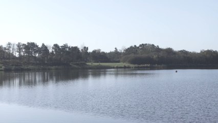 Northumberland Golden Pumpkin Treasure Hunt