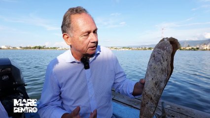 Laghi di Ganzirri custodi dei 12 superstiti di Pinna nobilis