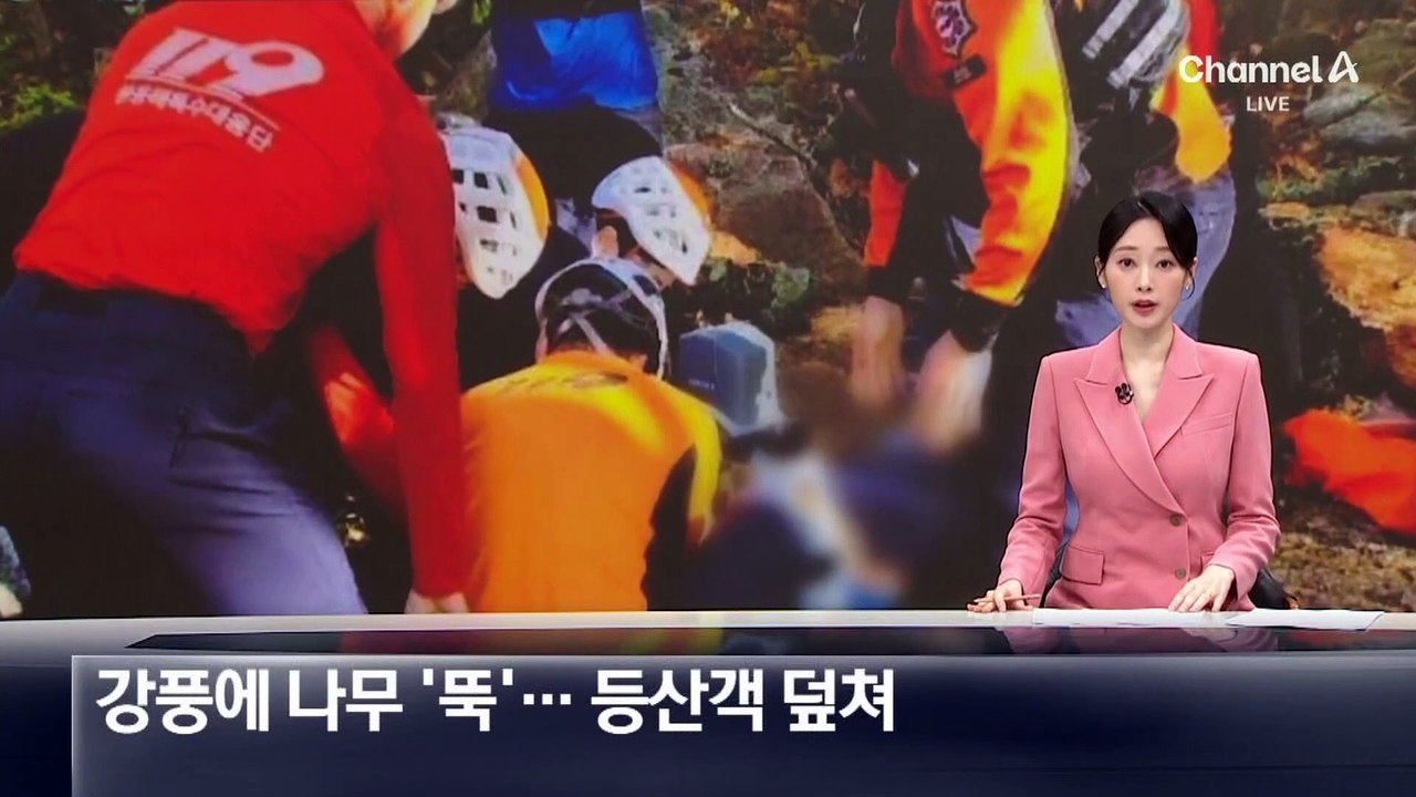 강풍에 쓰러진 나무가 등산객 덮쳐 3명 사상