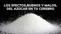 Efectos buenos y malos del azúcar en tu cerebro