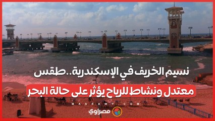 نسيم الخريف في الإسكندرية..طقس معتدل ونشاط للرياح يؤثر على حالة البحر