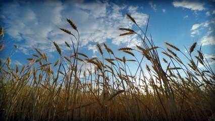 Ciclone extratropical traz ventania e chuva aos Estados do Sul