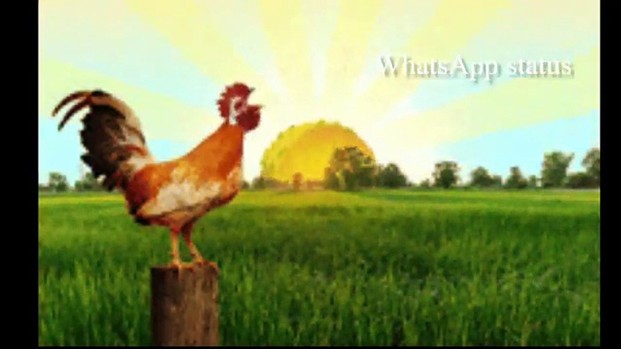 Time waste Life changing Motivational video