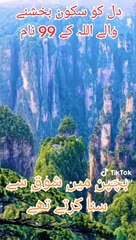 99 NAMES OF ALLAH HOOOOOOO...