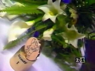 DENDY-НОВАЯ РЕАЛЬНОСТЬ (2X2 ВЫПУСК 10)