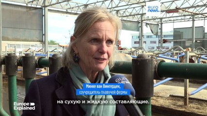 Нидерланды: плавучий коровник помогает бороться с изменением климата