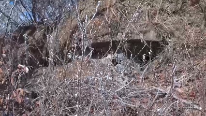 북 폭파 GP 검증 동영상 공개...북, 둘러대기 급급 / YTN