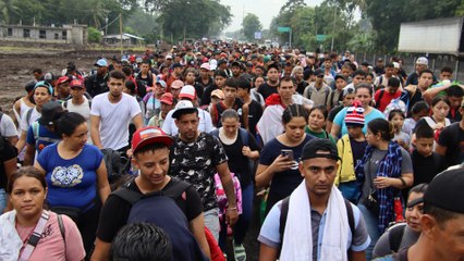 Crean herramienta interactiva para retratar el éxodo migratorio durante su paso por México