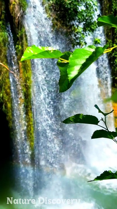 Relaxing Nature and relaxing Music  || Nature Discovery........#nature #relax #relaxing #shortvideo