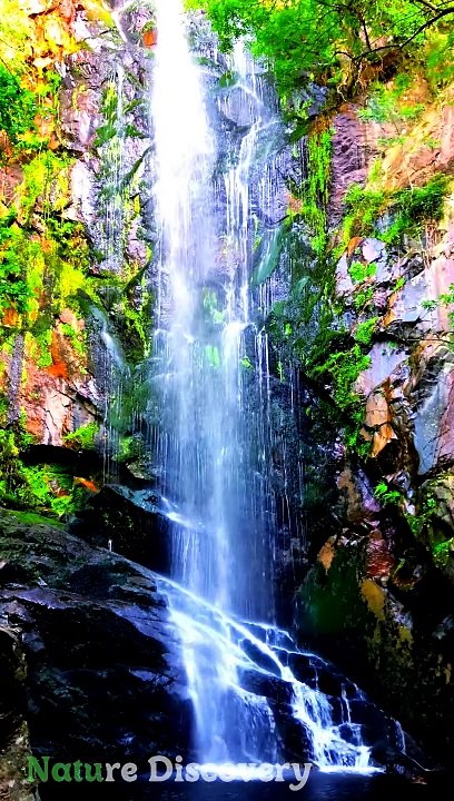 Relaxing Nature and relaxing Music  || Nature Discovery........#nature #relax #relaxing #shortvideo