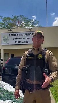 Condutor é preso com 300 quilos de agrotóxicos contrabandeados em Cruzeiro do Oeste