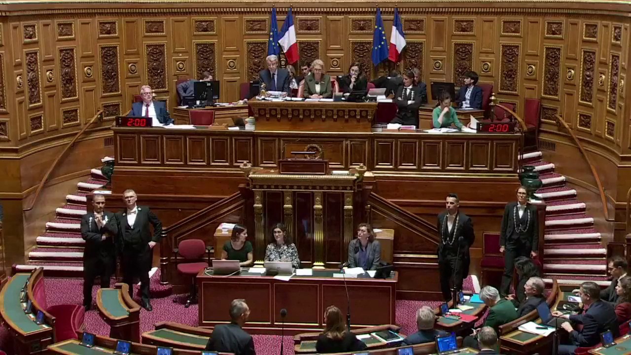 Nouvelle-Calédonie : le Sénat adopte le report des élections provinciales