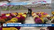 On en sait plus sur les travaux entre Saint-Etienne et Lyon ! / Le grand rush chez les fleuristes avant la Toussaint