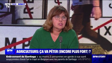 Crise agricole: "C'est grave qu'au bout de tant de mois rien ne soit fait", regrette Maria Da Silva (Fédération des marchés de France)