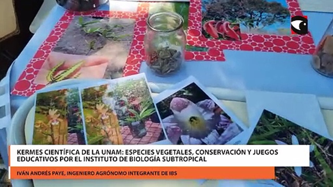 Kermes Científica de la UNAM: especies vegetales, conservación y juegos educativos por el Instituto de Biología Subtropical