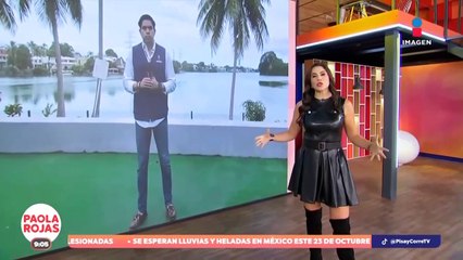 Líderes de Morena presentan iniciativa para impedir que echen abajo la reforma judicial