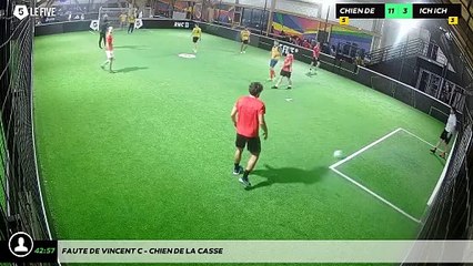 Faute de Vincent C - CHIEN DE LA CASSE