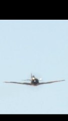 Daimler-Benz DB 605 - Mustang legend WWII