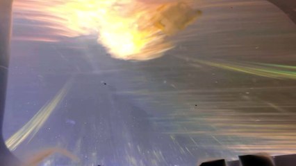 OSIRIS-REx Asteroid Sample Curation