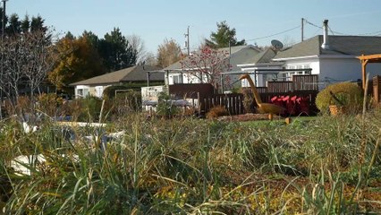 23 oct TOPO LPM rue Tournepierres Maria suivi