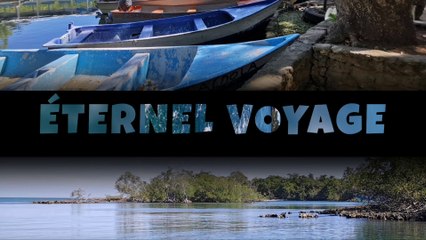 🎶 ETERNEL VOYAGE - escape and dream in nature - HUSSEIN ELMASRY