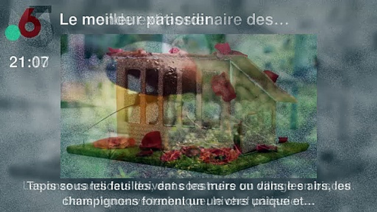 Programme TV soirée du Jeudi 24 octobre 2024