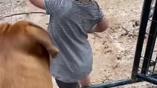 FbVideo_1729711751324