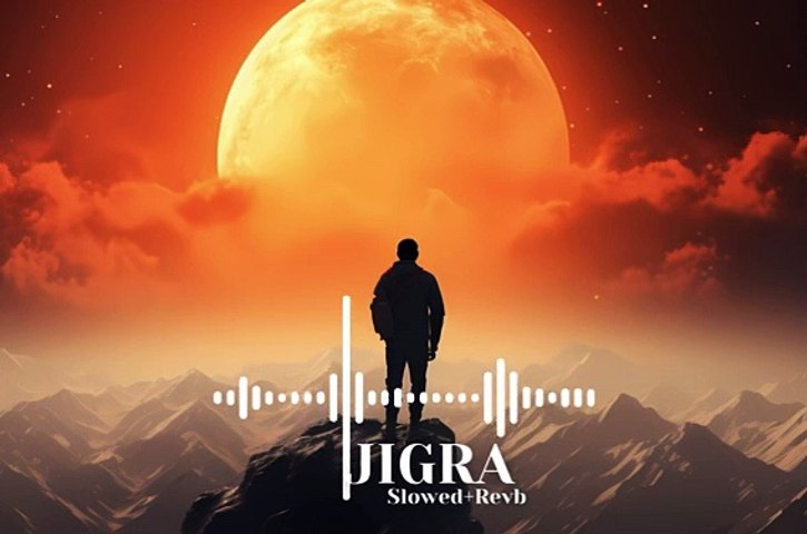 Jigra _Slowed+Revb _ Vedang Raina _ Alia Bhatt _ Achint _ Varun Grover _New Song 2024