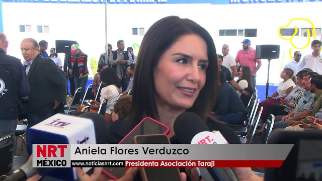 Organizaciones animalistas trabajan con el Ayuntamiento