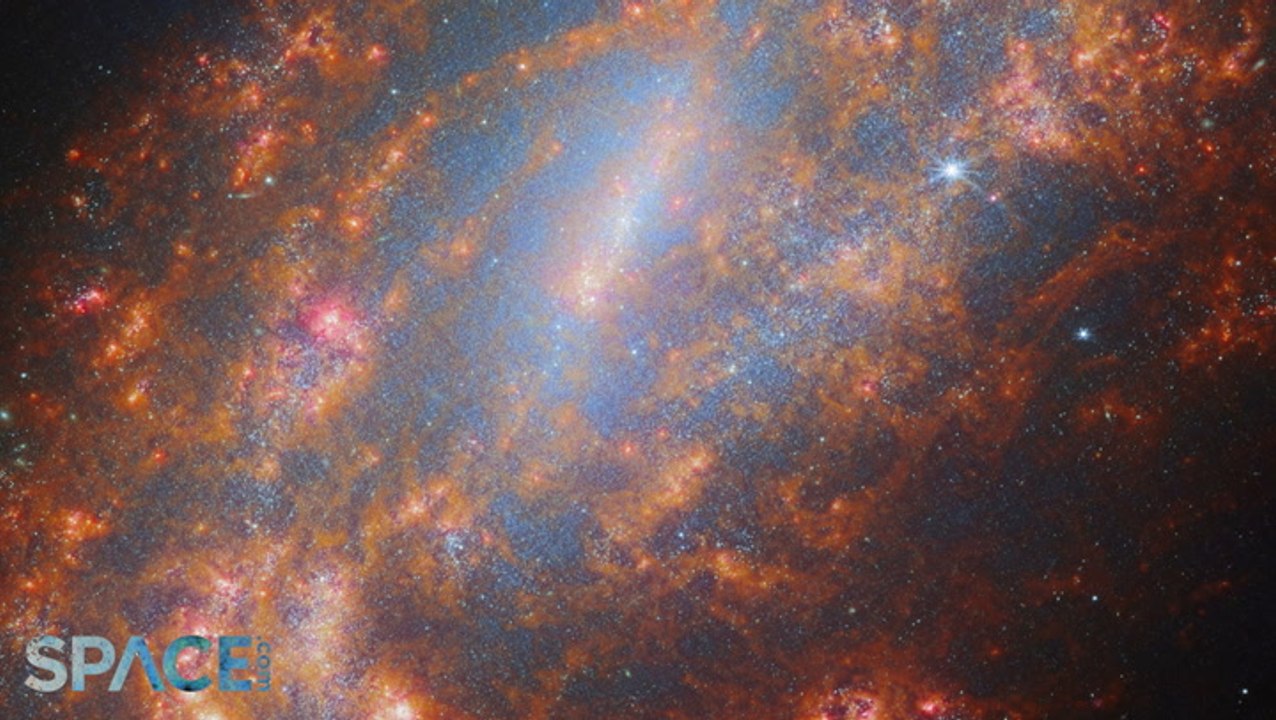 James Webb Space Telescope: Captures Barred Spiral Galaxy NGC 1559