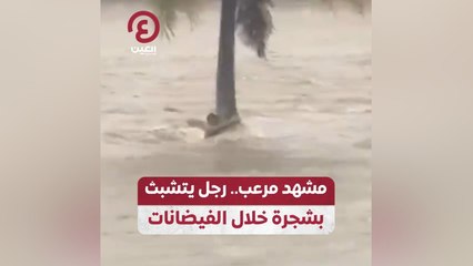 مشهد مرعب.. رجل يتشبث بشجرة خلال الفيضانات