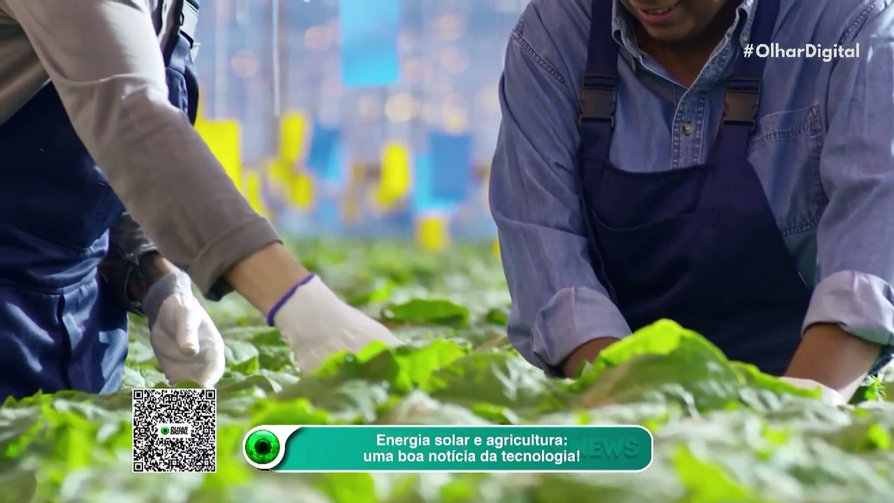 Energia solar e agricultura: uma boa notícia da tecnologia!
