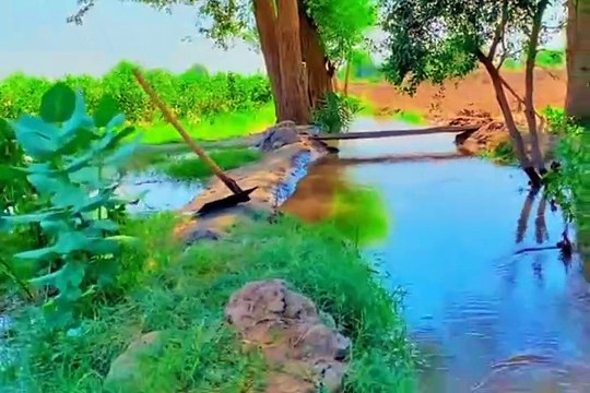 Old culture of Punjab village pind de Zindagi village life in Punjab India and Pakistan