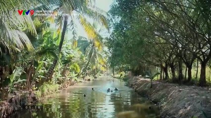 Thương con cá rô đồng - Tập 4