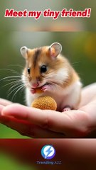 Tiny Hamster’s Snack Time | TrendingA2Z