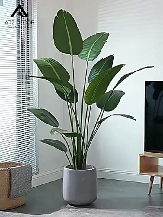 Cây chuối rẻ quạt giả vận chuyển toàn quốc, cam kết chất lượng, giá tốt nhất 2024, miễn phí vận chuyển | Mua ngay