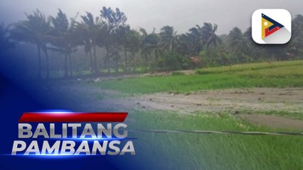 Télécharger la video: Sapat na supply ng bigas sa bansa, tiniyak sa kabila ng pananalasa ng bagyong #KristinePH