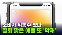 '무이자 아니었어?' 소비자들 속았다...애플, 천문학적 벌금 폭탄 [지금이뉴스] / YTN