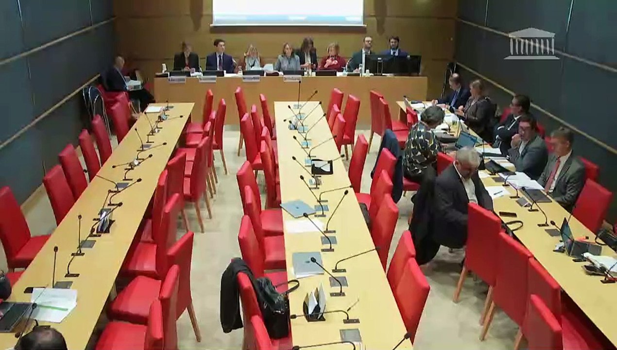 Commission des affaires culturelles : Projet de loi de finances pour 2025 (n° 324 – seconde partie) - Mercredi 23 octobre 2024