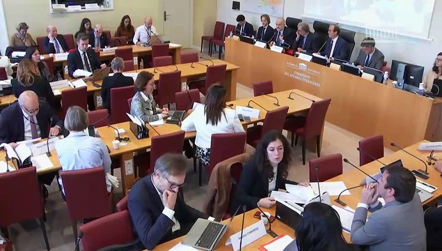 Commission des affaires étrangères : Examen des avis budgétaires sur le projet de loi de finances pour 2025 - Mercredi 23 octobre 2024