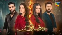 Woh Ziddi Si Episode 14 Full | Woh Ziddi Si Episode 14 Review | Wo Ziddi si | Hum tv Drama Review