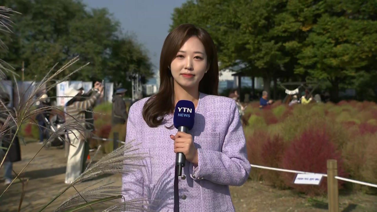 [날씨] 청명한 가을 날씨...큰 일교차, 건강 관리 '비상' / YTN