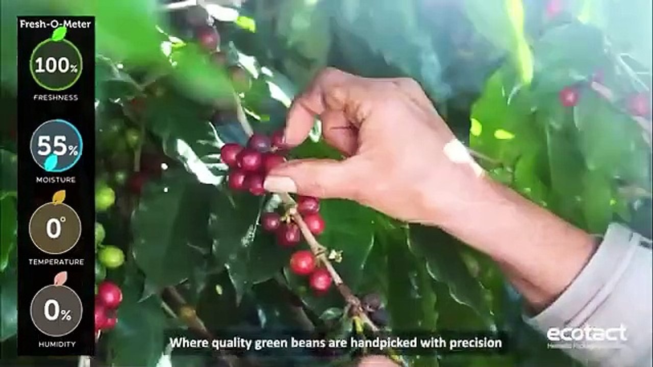 Preserving Freshness with Ecotact: The Ultimate Coffee Journey | Freshness Meter Film